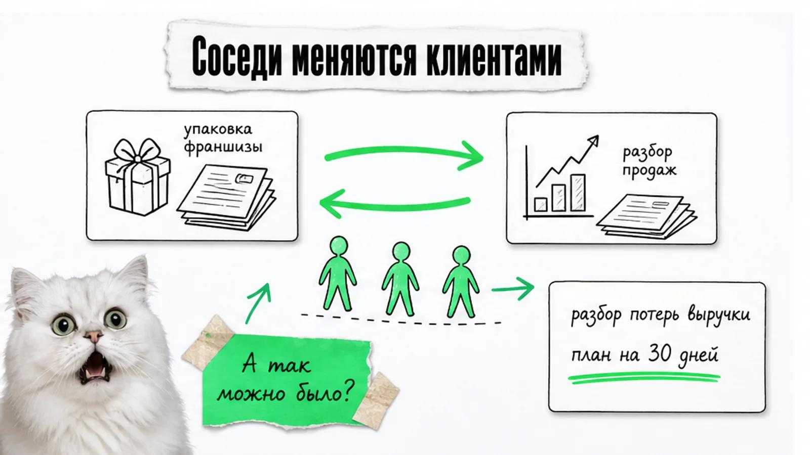 Два соседних бизнеса обмениваются клиентами по ярко-зелёной стрелке, рядом удивлённый кот.
