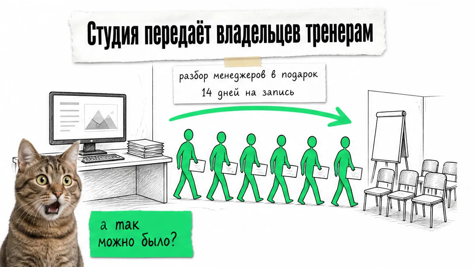 Владельцы идут от студии презентаций к классу тренеров по зелёной стрелке, рядом кот с распахнутыми глазами